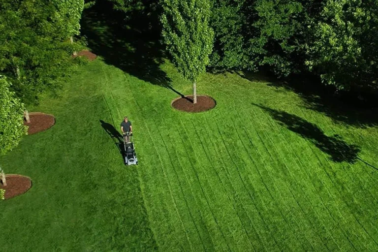 cordless electric lawn equipment